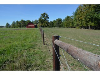 Property photo 47 - 80 +/- Acres Offered in 6 Tracts - Spectacular Farm & Home